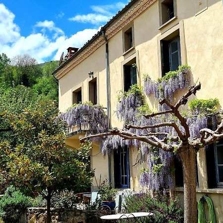La Maison Des Tisserandes 蒙塞居尔 外观 照片