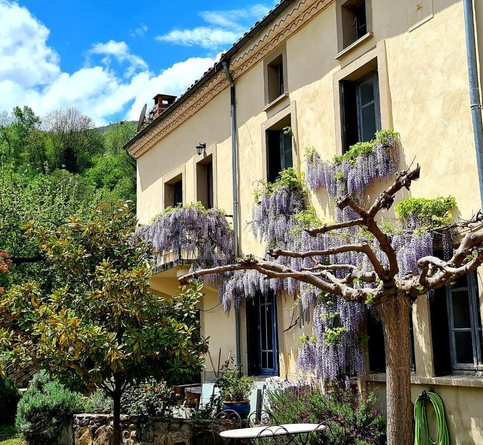 La Maison Des Tisserandes 蒙塞居尔 外观 照片
