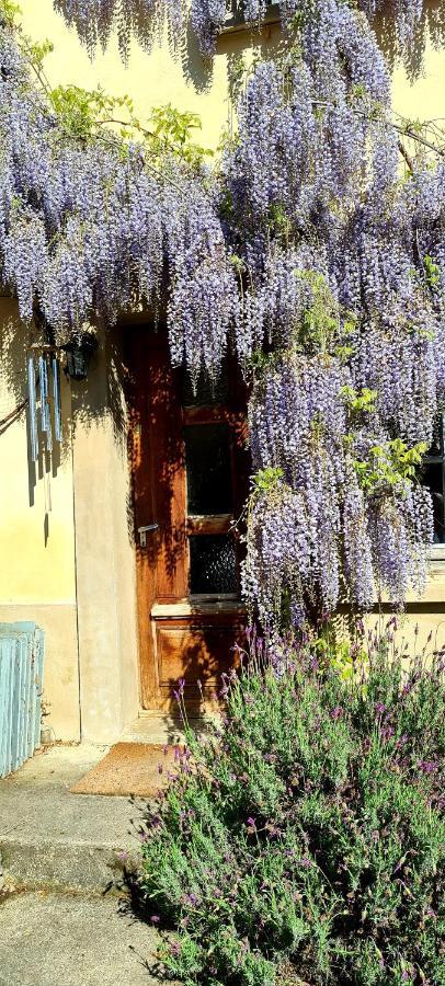 La Maison Des Tisserandes 蒙塞居尔 外观 照片